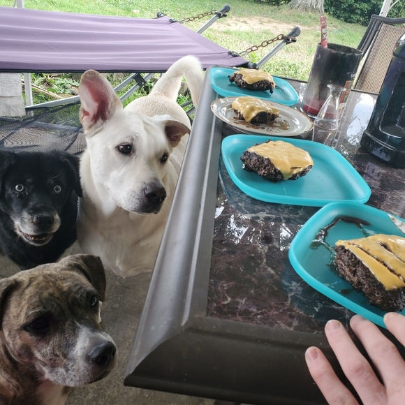 🐾my babies🐾 - Picture 10 of 11